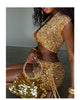 Conjunto 2 Peças Todo em Paetês Dourado Maria Brazil